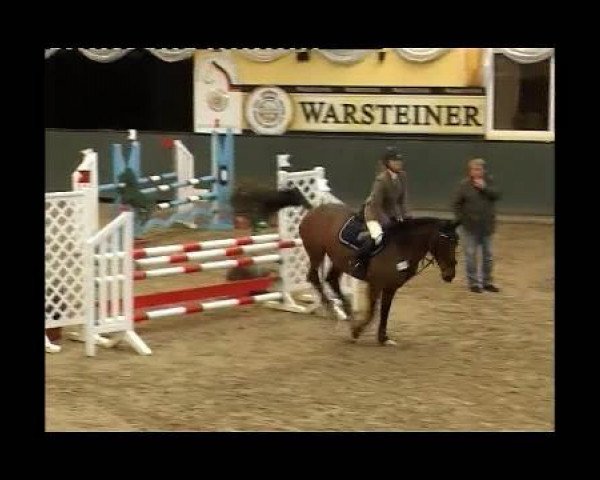 Springpferd Lady Yellow (Lettisches Warmblut, 1999, von Zeb-Element)