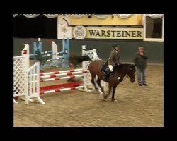 jumper Lady Yellow (Latvian Warmblood, 1999, from Zeb-Element)