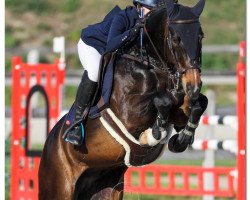 jumper Campino 515 (Hanoverian, 2011, from Corlensky G)