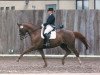 dressage horse Ravenna 326 (Trakehner, 2001, from Napoleon Quatre)