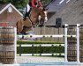 Springpferd Oberon van den Berg (Belgisches Warmblut, 2014, von Thunder van de Zuuthoeve)