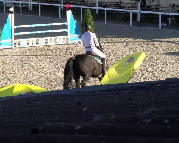 Reitturnier Bülach 2022