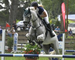 jumper Astro Girl (Oldenburg show jumper, 2008, from Hh Linton)