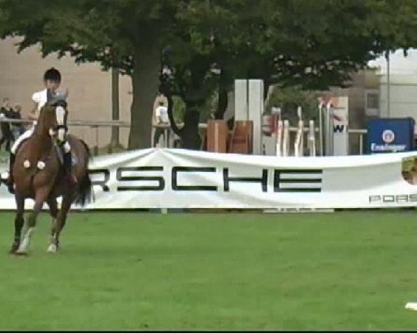 jumper Cadeau Hill (Sachse, 1998, from Caretello B)