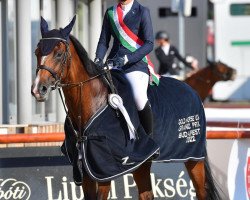 jumper Cloe (Hungarian Warmblood, 2014, from Carpaccio)