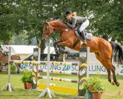 broodmare Wanda 468 (German Sport Horse, 2010, from Contenaro)