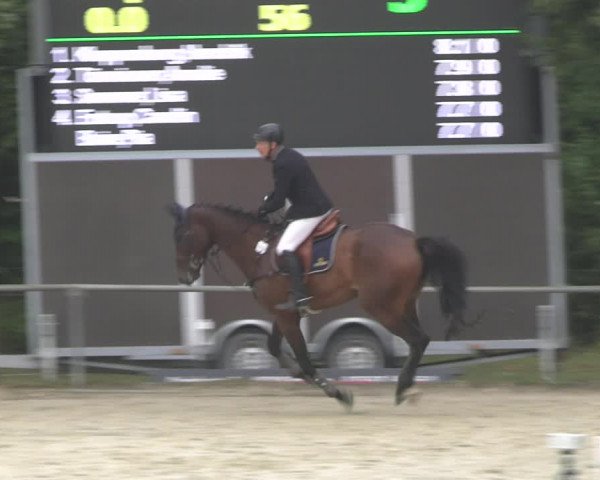 Reitturnier Appelhülsen 2022