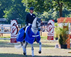 broodmare Die Clara von der Weide (Hanoverian, 2011, from Dancier)