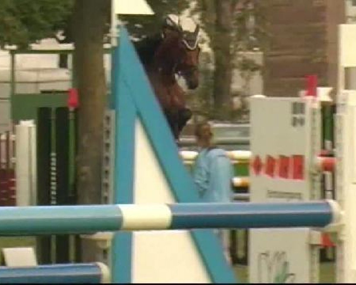 jumper Lara 457 (Württemberger, 2002, from Loving Dancer)