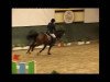 horse Sanette (Hanoverian, 1992, from Sandro)