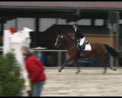 horse Heralie (Oldenburg, 2003, from Heraldik xx)