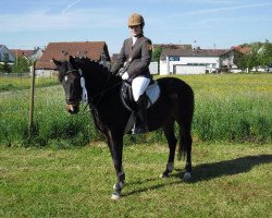 jumper Chica Bonita (German Riding Pony, 1999, from Candyman)