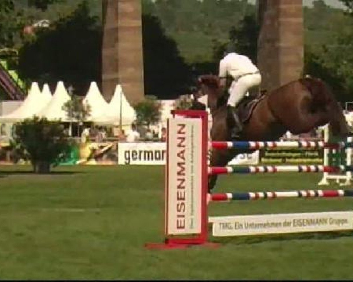 jumper Cuore 3 (Swiss Warmblood, 2003, from Carnute)