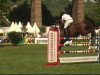 jumper Cuore 3 (Swiss Warmblood, 2003, from Carnute)