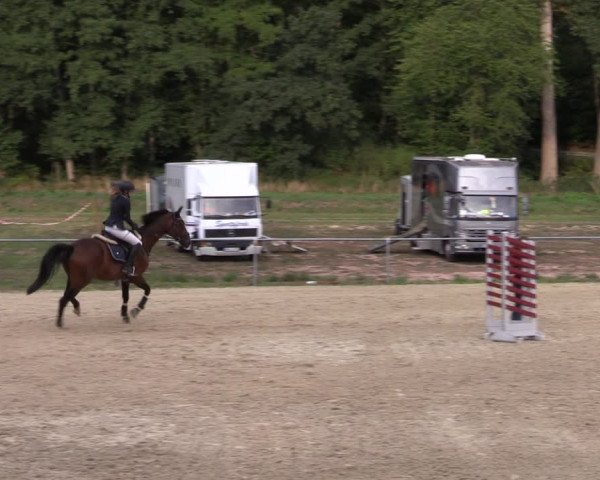 Reitturnier Bad Liebenstein/Sorga 2022