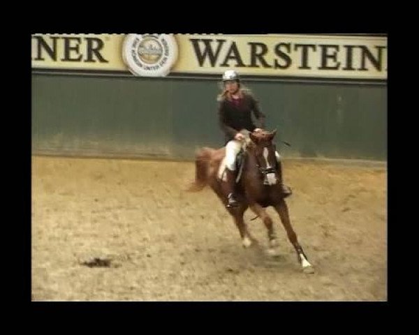 horse La petite Madame (Hanoverian, 2007, from Le Primeur)