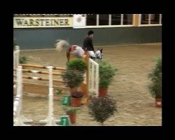 dressage horse Artimo (Württemberger, 2007, from Arioso du Theillet)