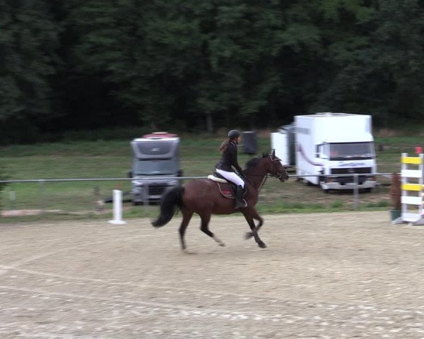Reitturnier Bad Liebenstein/Sorga 2022