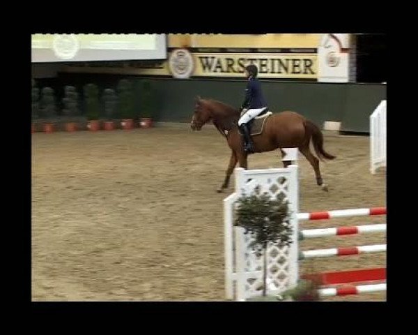 horse High Speed (Westphalian, 2006, from Hogwart)