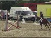 dressage horse Rosenhof (Welsh-Pony (Section B), 2001, from Glantir Macaulay)