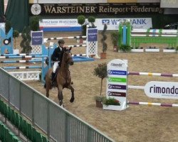 jumper Wannahave (KWPN (Royal Dutch Sporthorse), 2003)