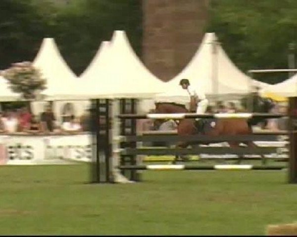 jumper Le Coeur 12 (Saxony-Anhaltiner, 1999, from Lancer III)