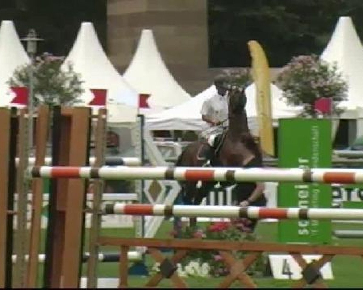 Springpferd Balakaus (Oldenburger Springpferd, 2004, von Baloubet du Rouet)