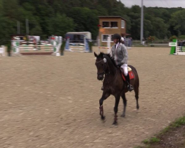 Reitturnier Bad Liebenstein/Sorga 2022