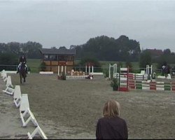 dressage horse Florestine 9 (Westphalian, 2007, from First Final)