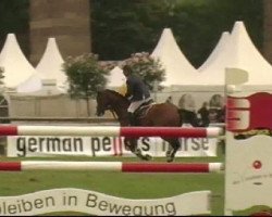 jumper Wrangler 15 (KWPN (Royal Dutch Sporthorse), 2003, from Epilot)