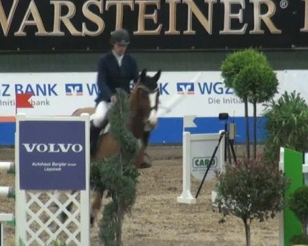 jumper For Cash (Oldenburg show jumper, 2005, from For Pleasure)