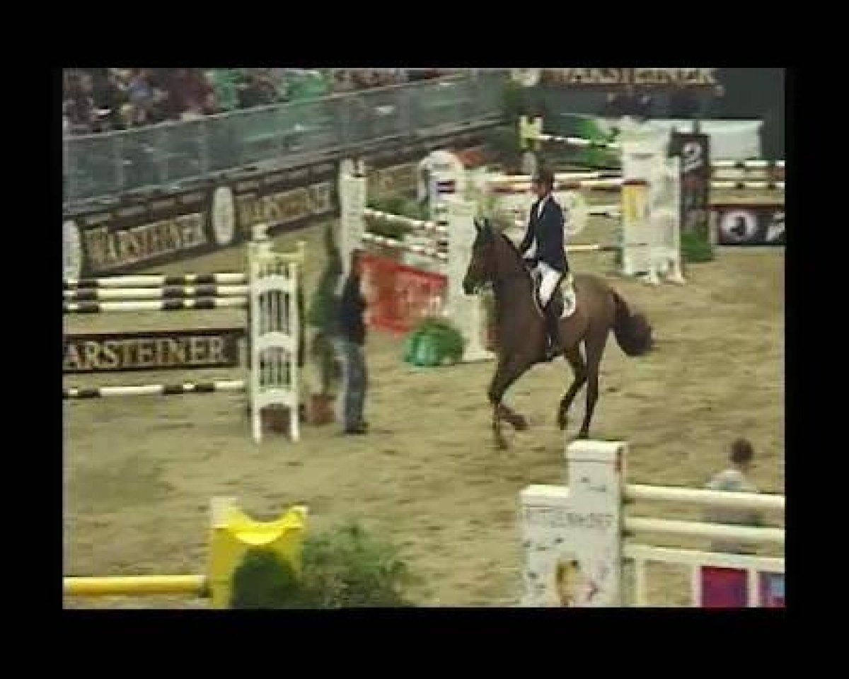 Springpferd Landaro 6 (Holsteiner, 2001, von Lancer II)
