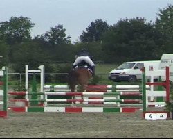 dressage horse Floryano (Westphalian, 2003, from Floresco NRW)