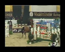 Springpferd Bachelor 4 (Rheinländer, 2002, von Baloubet du Rouet)