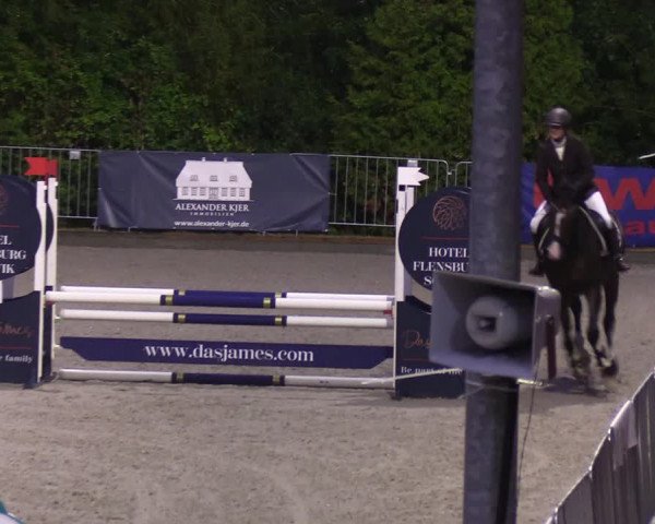 Reitturnier Sörup 2022