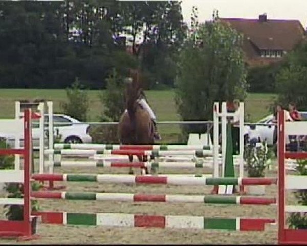 jumper Cami - P (Westphalian, 2006, from Camirez L)