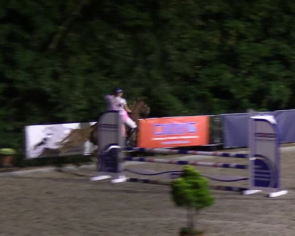 Reitturnier Sörup 2022