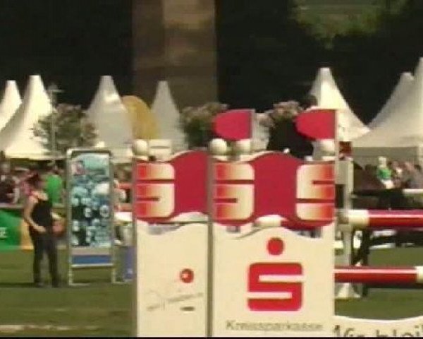 jumper Cordo 5 (Westphalian, 2001, from Cordobes II)