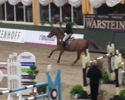 dressage horse Lucy (German Riding Pony, 2003, from Le Beau)