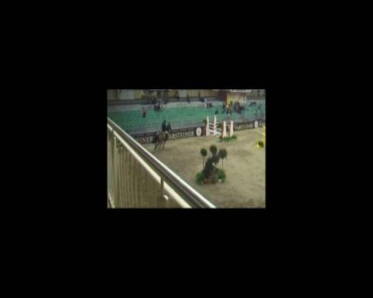 dressage horse Chico (German Riding Pony, 1985, from Forge Cirrus)