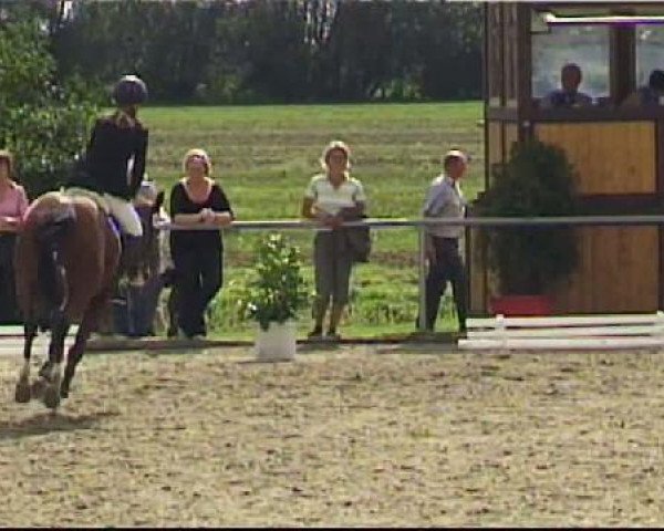 Springpferd Nepomuck 42 (Deutsches Reitpony, 2006, von Topnatrejo)