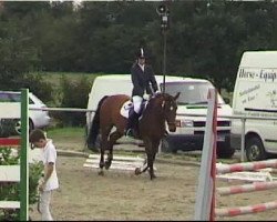 dressage horse Lucille 53 (Oldenburg, 1997, from Lavaro)