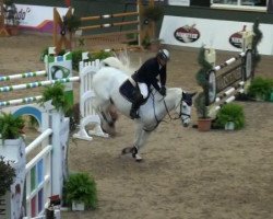 jumper Linus 308 (Hanoverian, 2001, from Ramires)