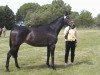 broodmare Kreuzdame xx (Thoroughbred, 1990, from Acatenango xx)