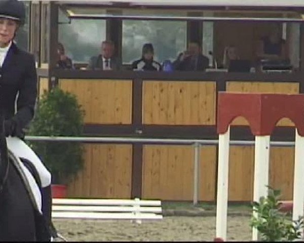 dressage horse Rosalie (Westphalian, 2007, from Riccio)