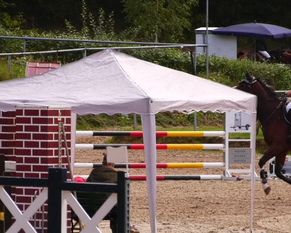 Reitturnier Lgl.-Oberhain, B95 2022
