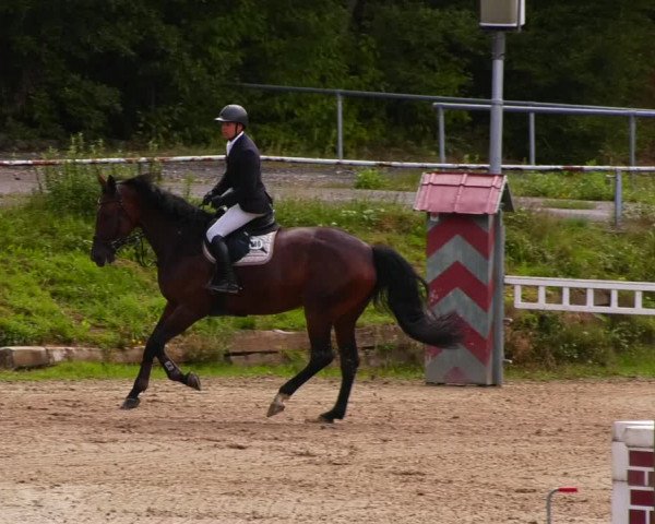 Reitturnier Lgl.-Oberhain, B95 2022