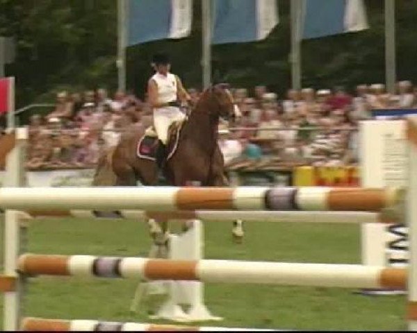 jumper Cent-Man (Hanoverian, 2002, from Chasseur I)