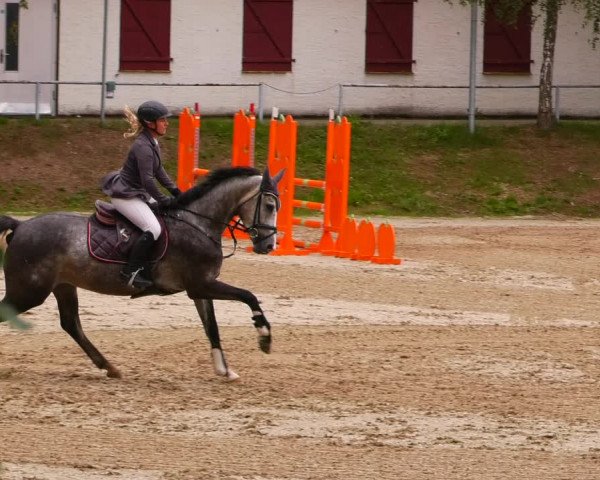 Reitturnier Lgl.-Oberhain, B95 2022