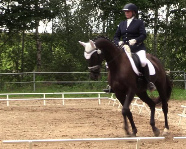 Reitturnier Lgl.-Oberhain, B95 2022